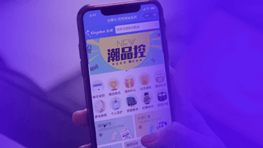 金蝶云·苍穹商城系统